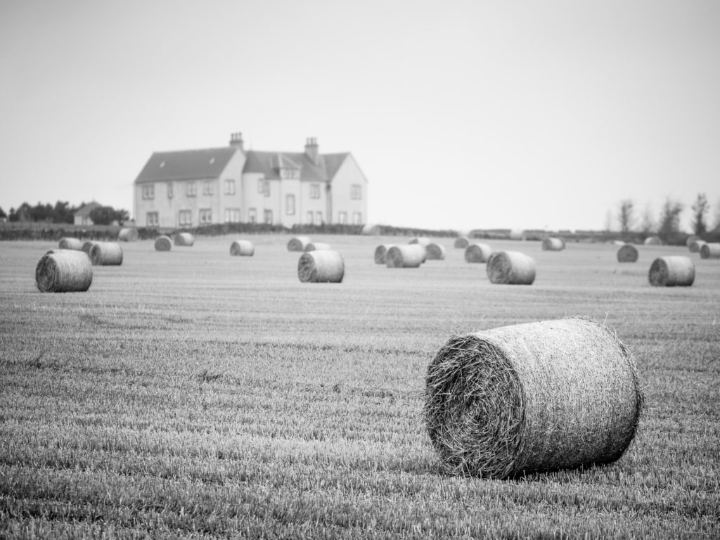 hay bale